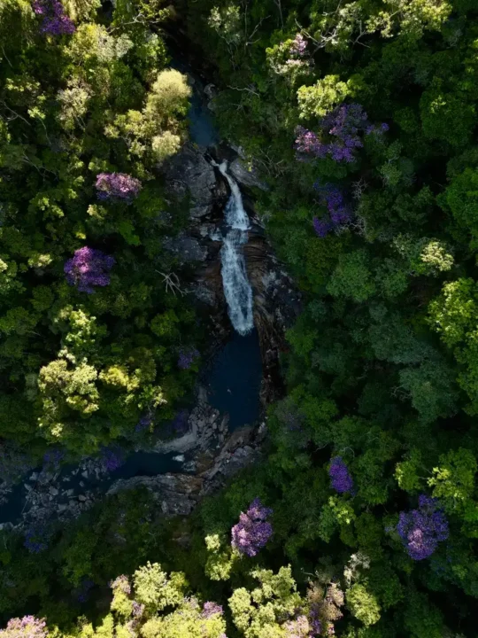 Copia-de-Copia-de-dji_fly_20240313_162416_2_1710695399954_photo